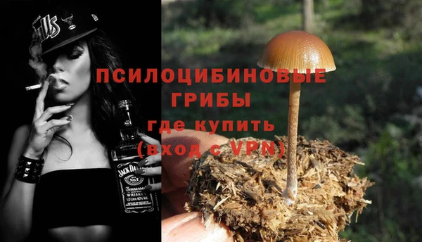 экстази Дмитриев