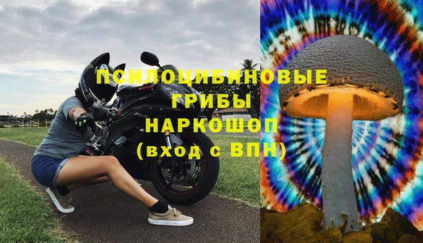 прущий лед Арсеньев