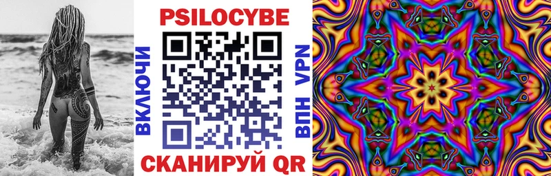 купить  цена  hydra ТОР  Галлюциногенные грибы Psilocybe  Бор 
